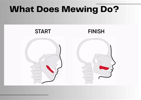 mewing meaning in tagalog